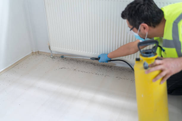 Best Mosquito Control Services  in Grant City, MO